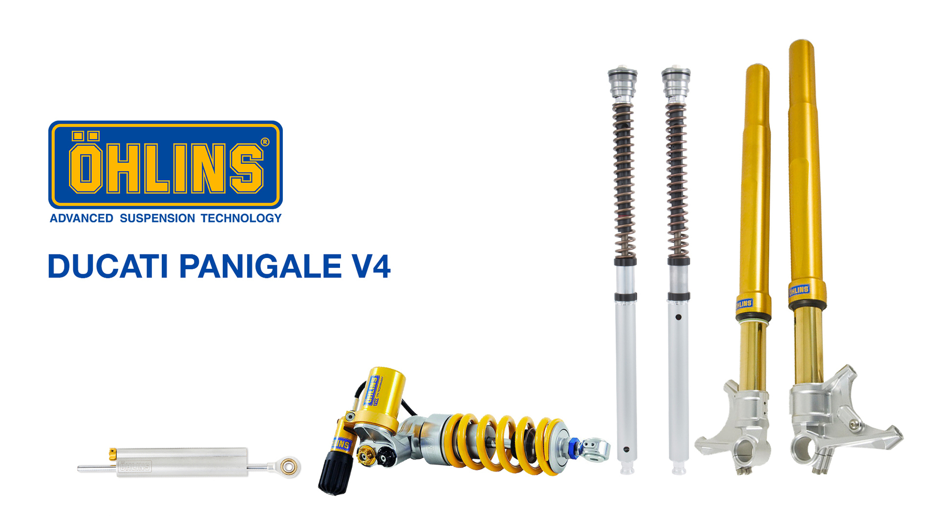 Amortisseur Avant Öhlins FGR 400 DUCATI PANIGALE V4 de 2018
