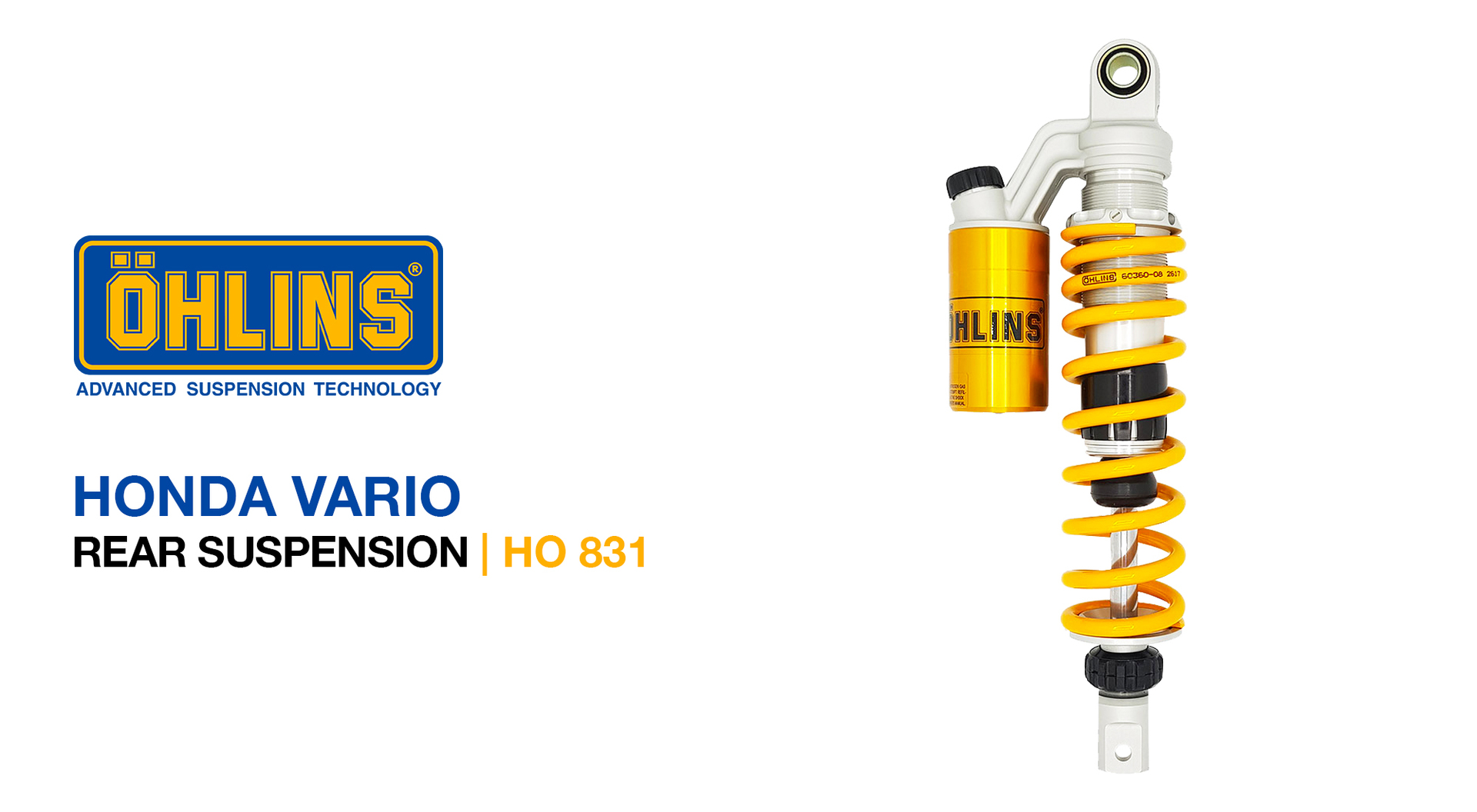 00-LP-HO8310.jpg