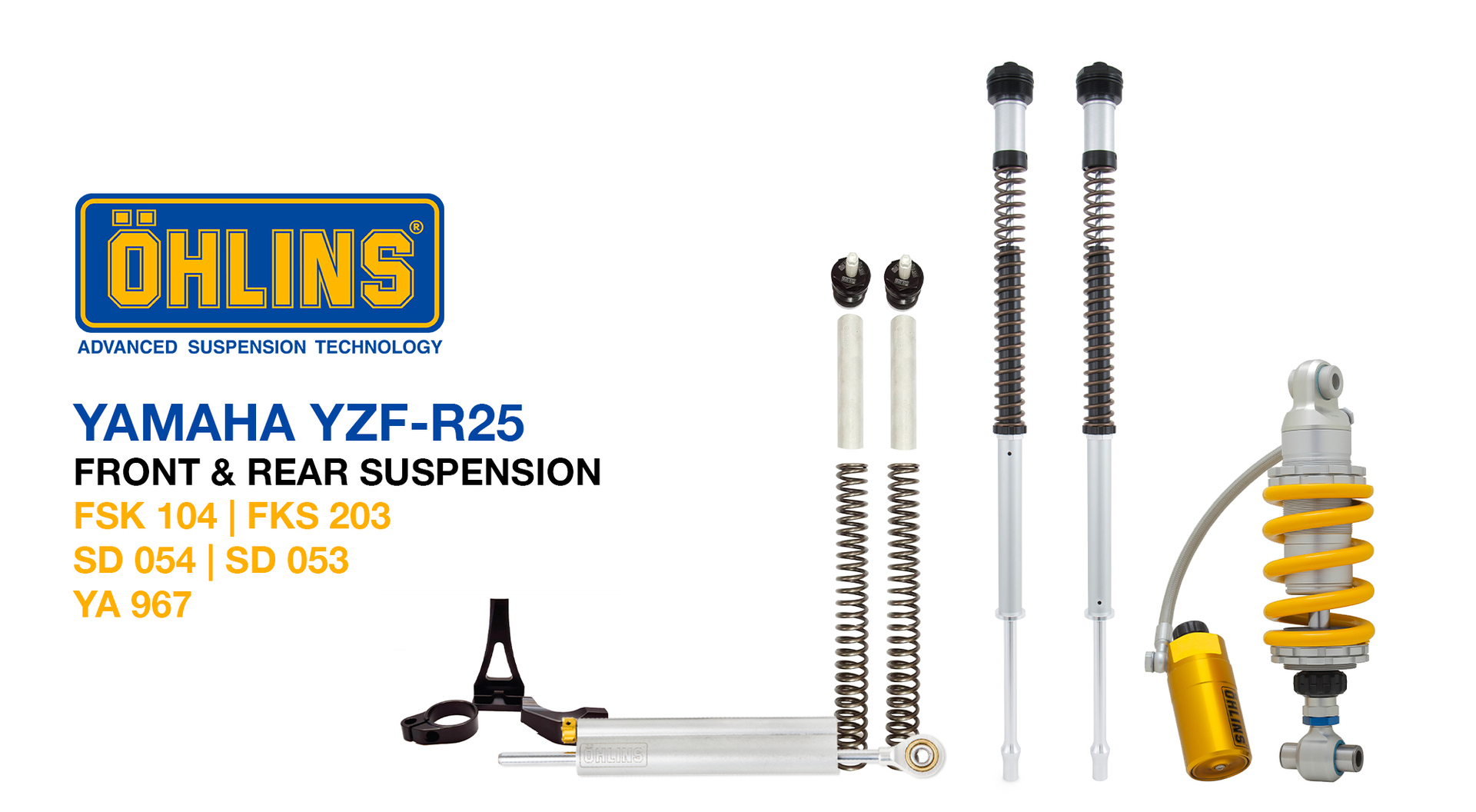 Ohlins r25 store