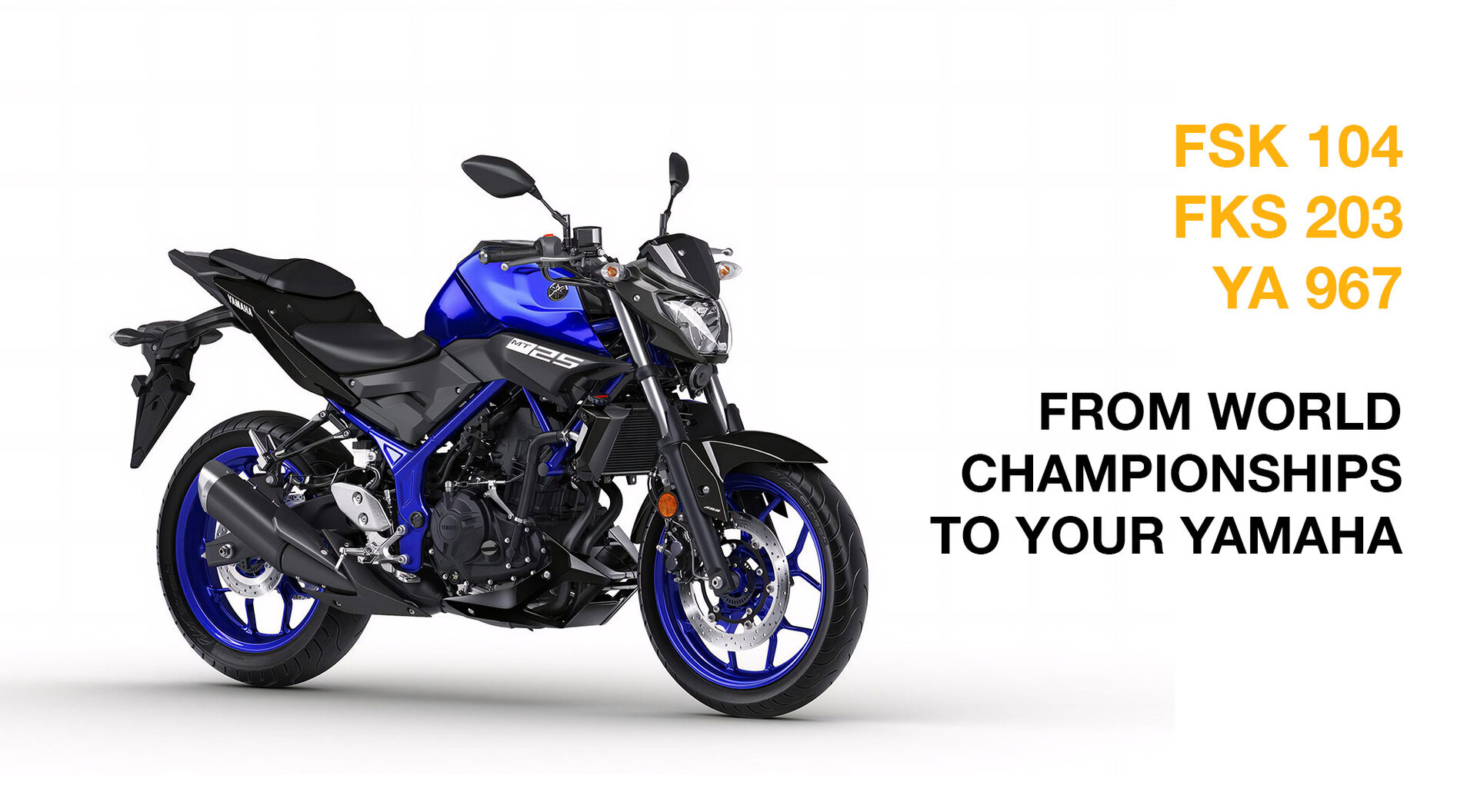 07-LP-Yamaha-MT-25-SUB-TITLE